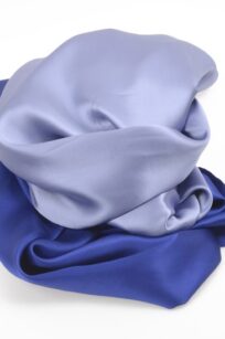 Etole bleue bicolore