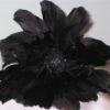 Fleur noire