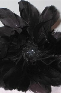 Fleur noire