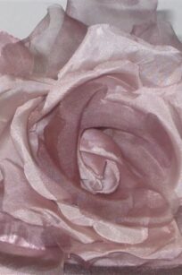 Fleur rose