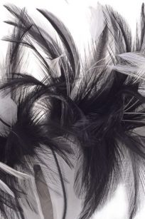 Bibi noir et blanc plume detail