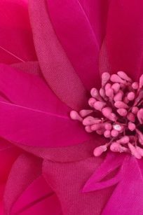 Grosse Fleur fushia detail