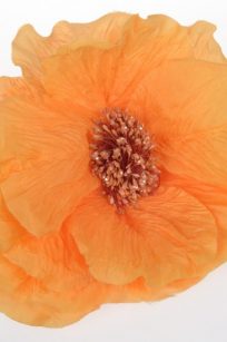 Fleur orange