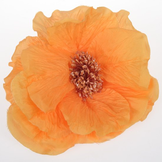 Fleur orange