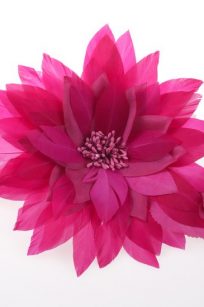 Grosse Fleur fushia