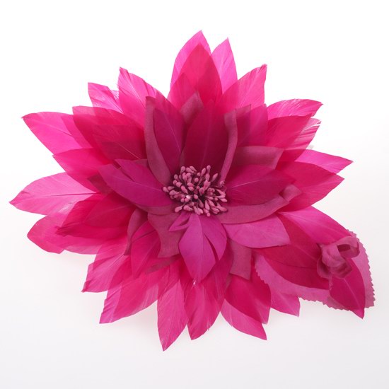 Grosse Fleur fushia